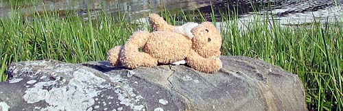 Forgotten and Lost Teddy Bears